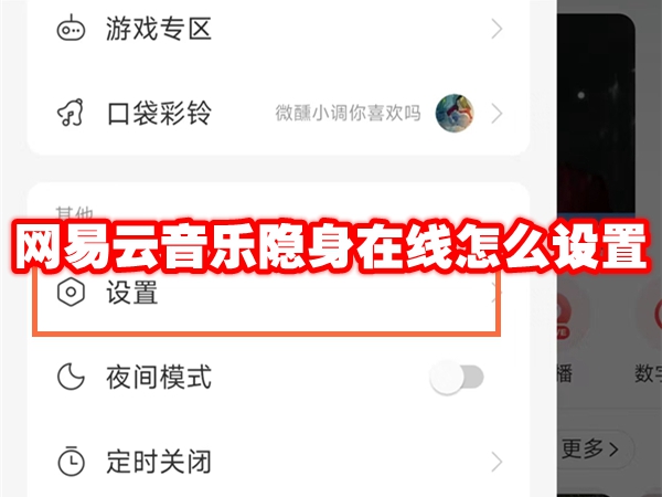 网易云音乐隐身在线怎么设置