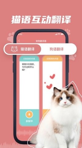 猫狗语翻译器软件截图