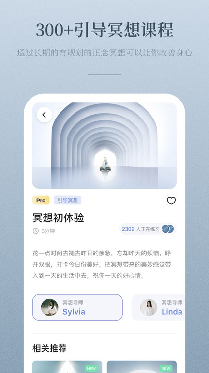 NiceDay v3.9.17软件截图