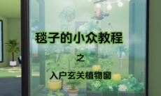 心动小镇入户玄关植物窗怎么建造