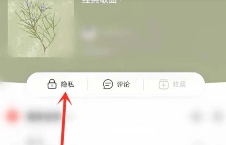 网易云音乐私密歌单在哪里设置