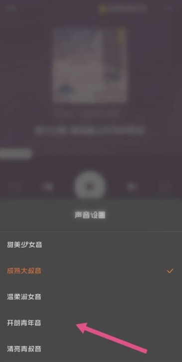 番茄小说听书怎么切换声音